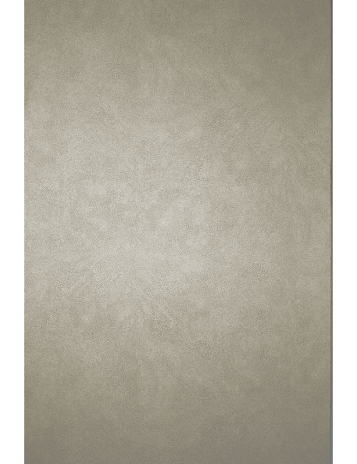 Обои Osborne & Little Wallpaper Album VII W6303-02