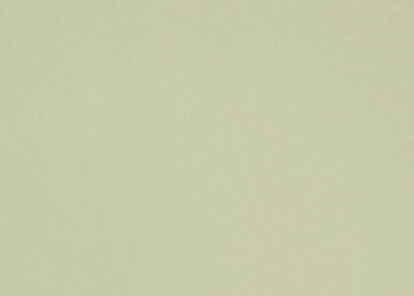 Ткань Designers Guild Brenan F1632/04