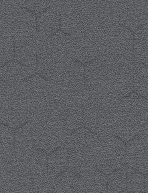 Обои Texdecor Acoustic Vinyl Wallcoverings PFY91021117