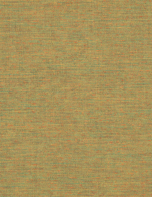 Обои Jannelli & Volpi 171 Ikat 6417