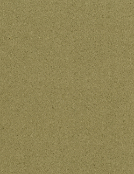 Ткань Osborne & Little Pebble F5971/05