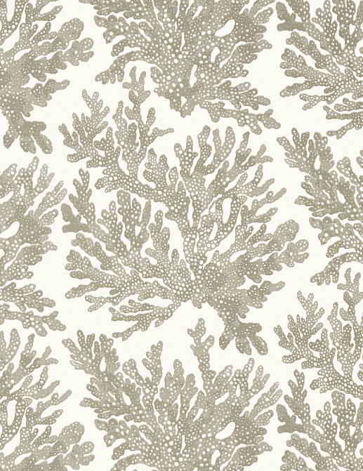Обои Thibaut Tropics T10140