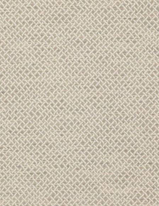 Ткань Colefax and Fowler Brett Weaves F4646/04