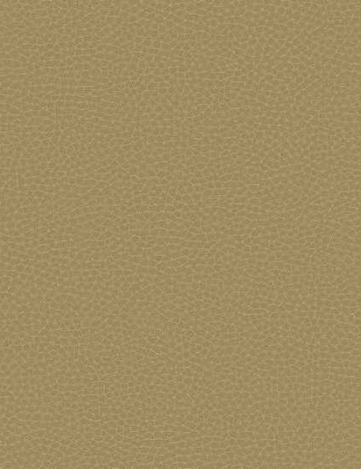 Обои Carl Robinson Edition 17 - Loft CR88005