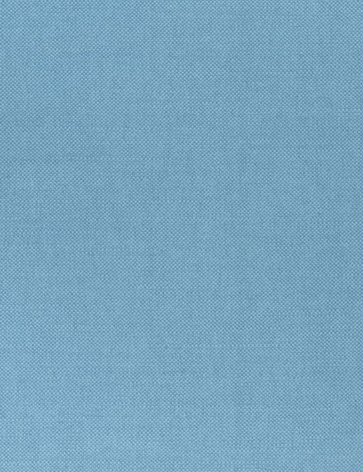 Ткань Thibaut Woven Resource 12 Prisma W70152