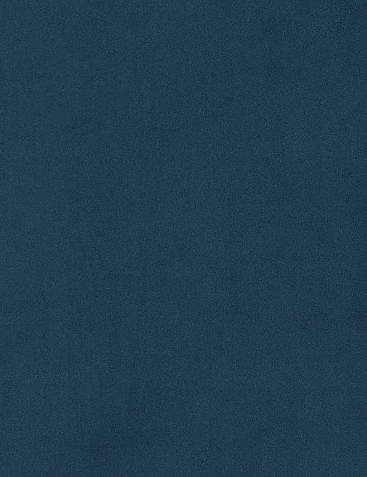Обои Phillip Jeffries Tailored Walls 8875