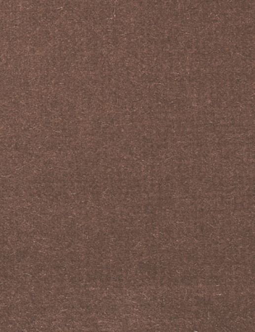 Ткань Alessandro Bini Velluto di Cotone G075/641