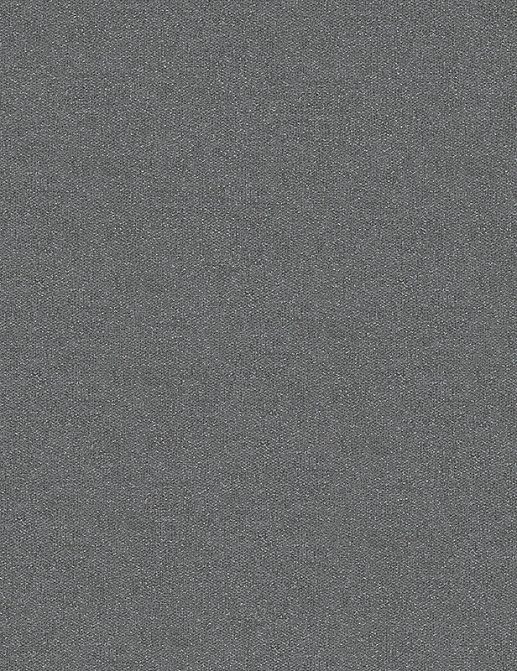 Обои A. S. Creation Titanium 881830