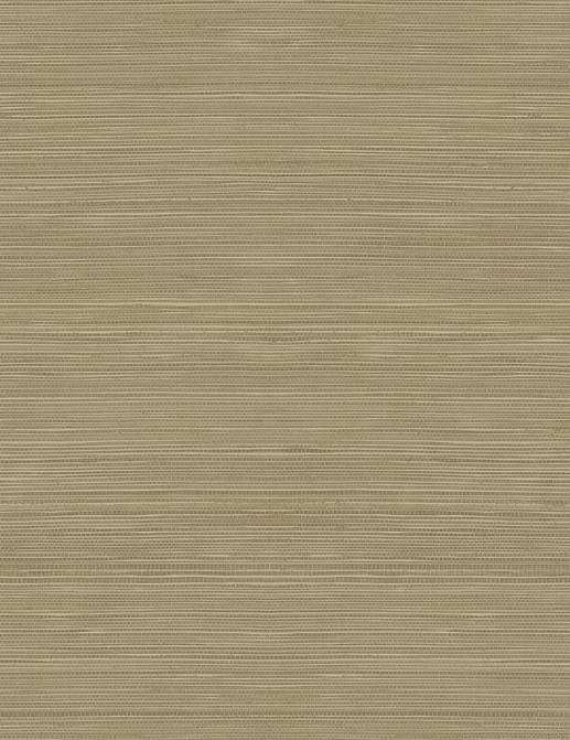 Обои Jaima Brown Woodlands Resource JB22306