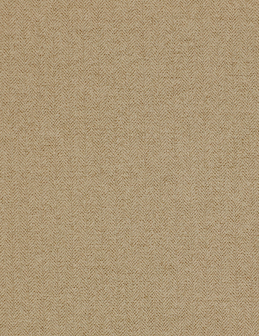 Ткань Colefax and Fowler Magnus Checks F4240/02
