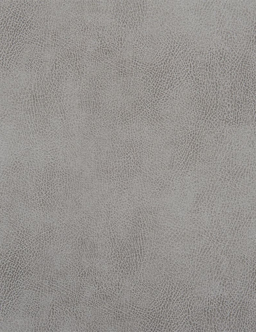 Ткань Designers Guild Nevada FDG2538/04