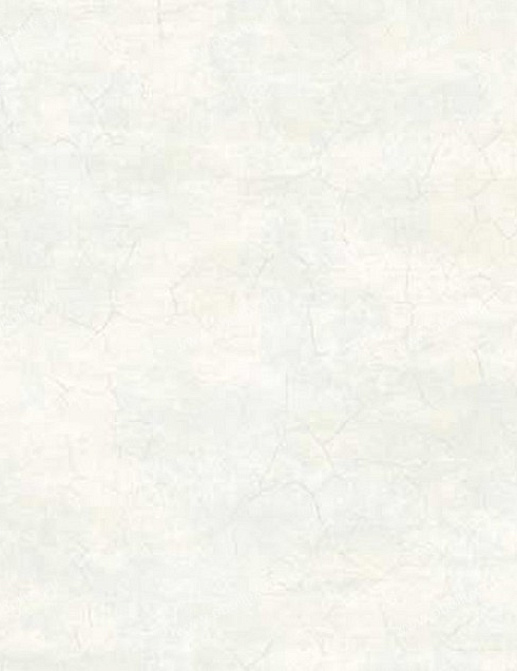 Обои Thibaut Baroque R0128