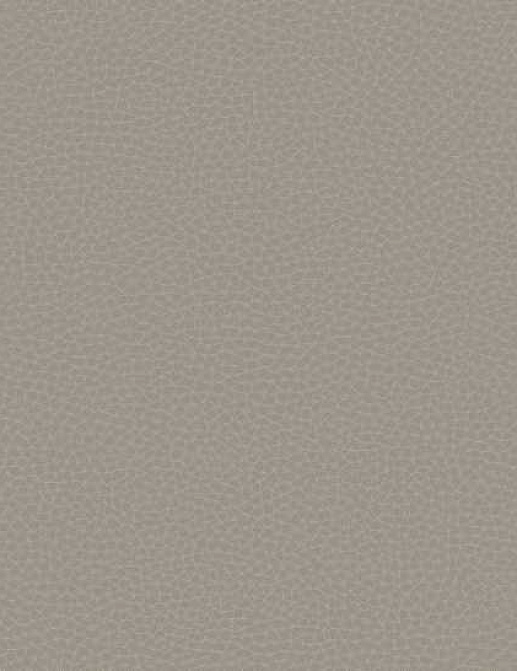 Обои Carl Robinson Edition 17 - Loft CR88008