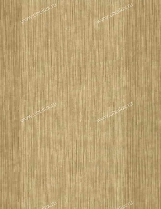 Обои Schumacher Stripes 5002464