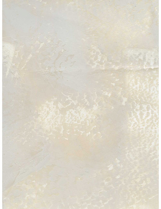 Обои Holland & Sherry Archetype Collection DEWP2304/Miranda Sand