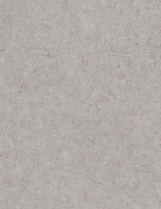 Обои Rasch Wall Textures XL Vol3 974249