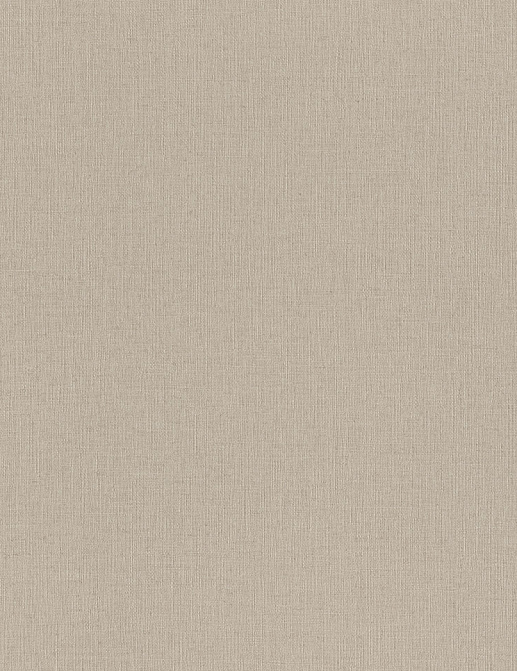 Обои Rasch Wall Textures XL Vol3 975550