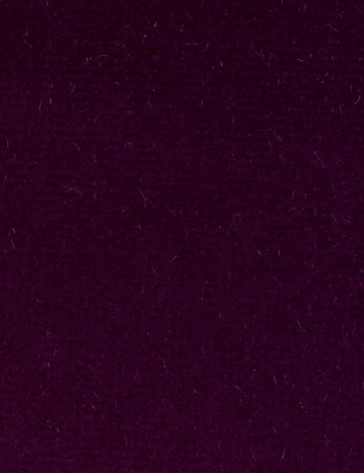 Ткань Alessandro Bini Velluto di Cotone G075/226
