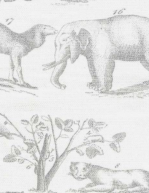 Ткань Andrew Martin Carlotta Jungle/Grey