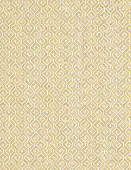 Ткань Thibaut Resort Wovens W77963