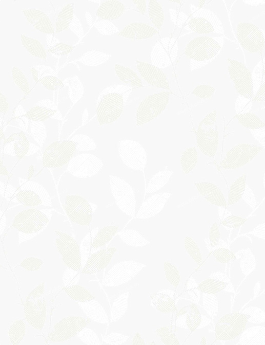 Обои Borastapeter Everyday 2866