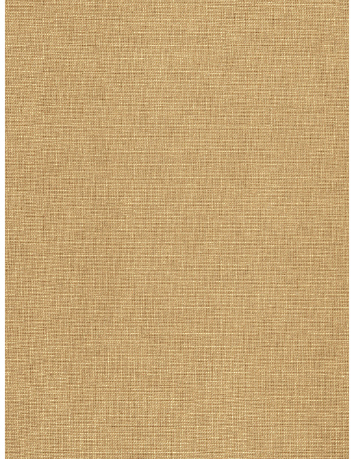 Ткань Trend Terra Cotta Cinnamon Prints & Wovens Vol.II 02133/Wheat