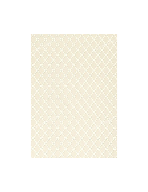 Обои Thibaut Geometric Resource T1821
