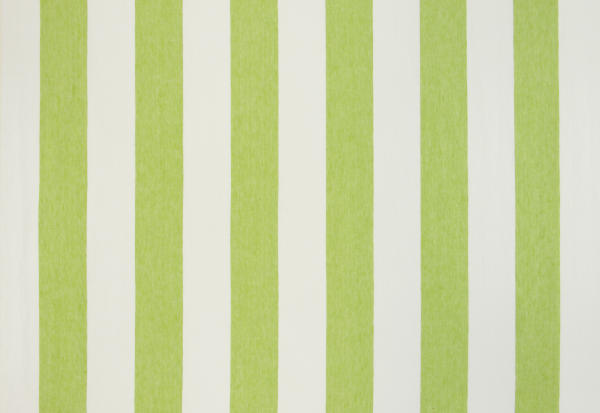 Ткань Designers Guild Brera Rigato F1790/17