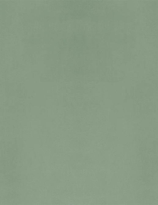 Ткань Designers Guild Velluto II FDG2705/54