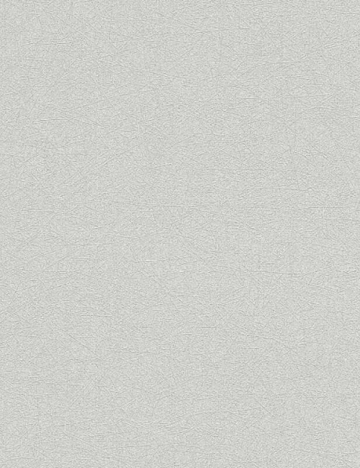 Обои A. S. Creation Original View 35866-1