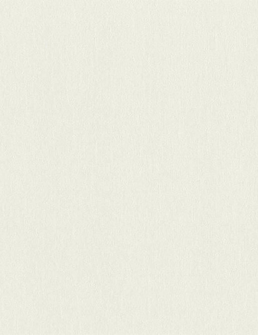 Обои Rasch Настенные структуры. Том 4 / Wall Textures XL Vol. 4 979350