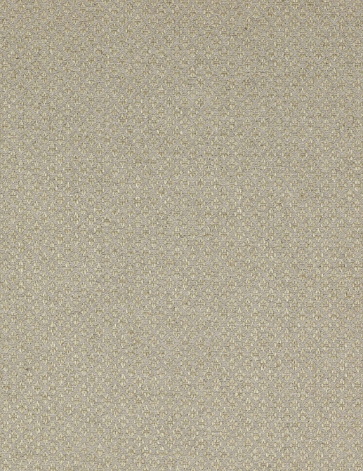 Ткань Colefax and Fowler Amersham F3624/01