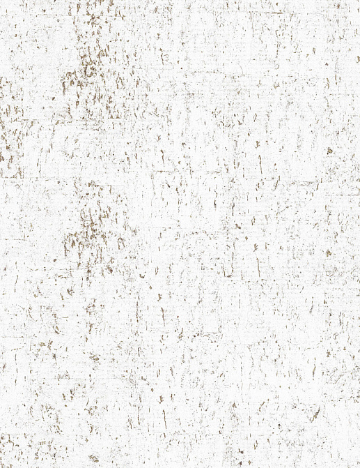 Обои York Candice Olson Casual Elegance EV3902