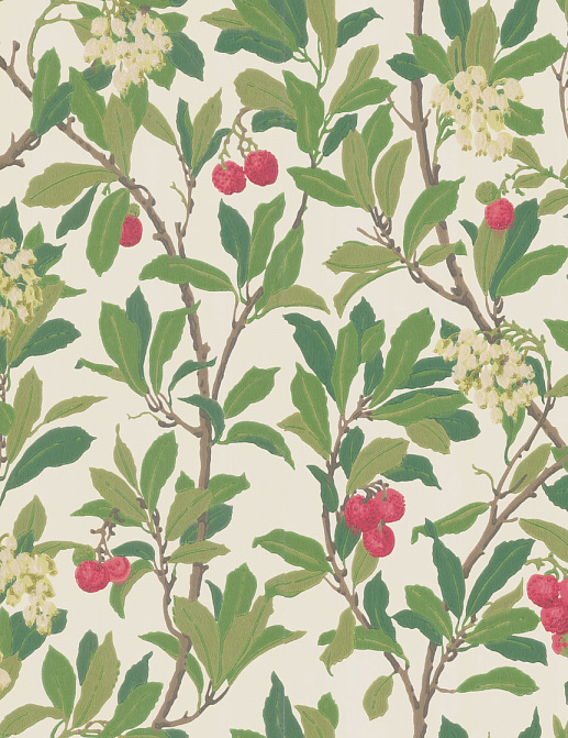 Обои Cole & Son Archive Anthology 100/10049