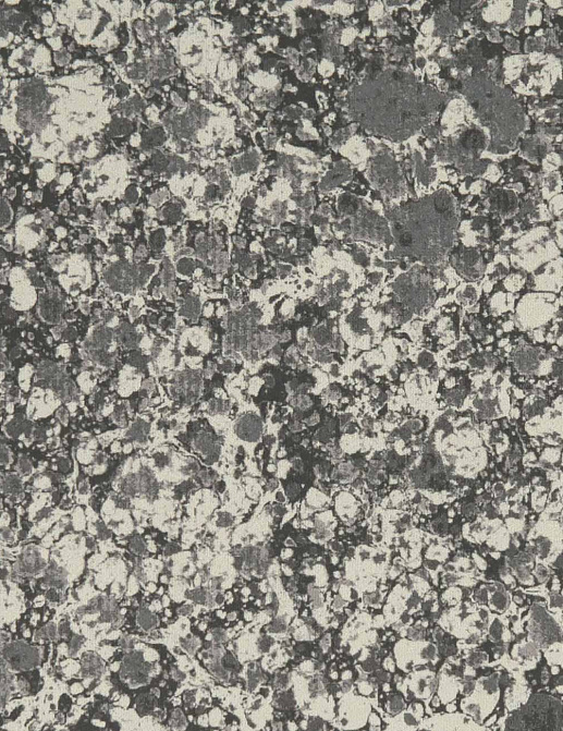 Ткань Clarke & Clarke Elementa Fr Prints F1198/02