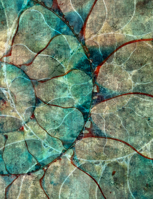 Панно и фотообои Glamora Creative Wallcovering GLFO114A