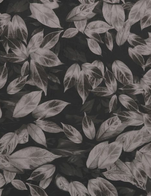 Ткань Ashley Wilde Velluto Giardino/Truffle