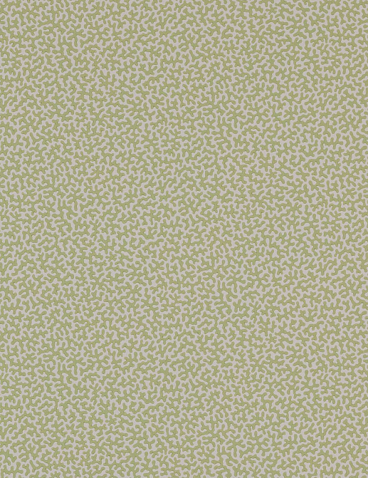 Обои Colefax and Fowler Small Design Wallpapers II W7014-03