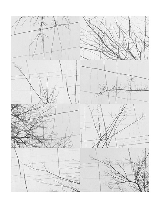 Панно и фотообои Wall & Deco Collection 2017 WDBH1701