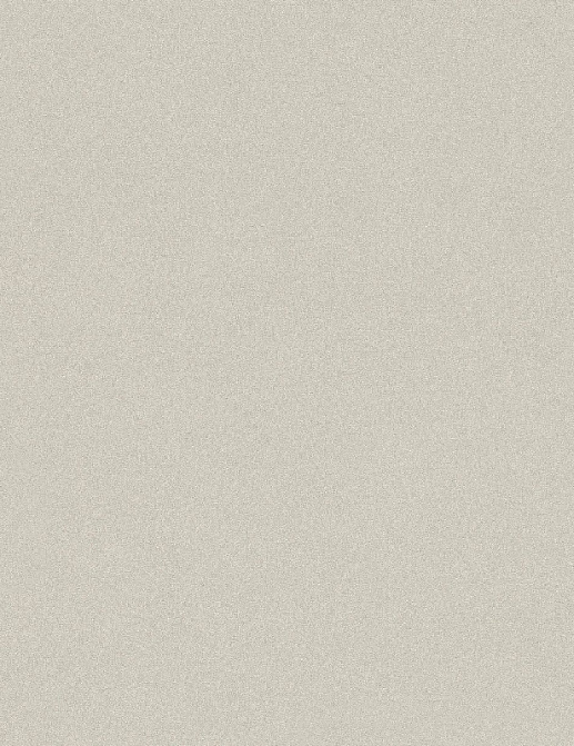 Обои Rasch Passepartout 606331