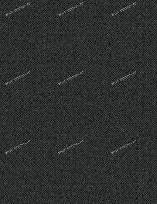 Обои A. S. Creation Black & White 2 939297