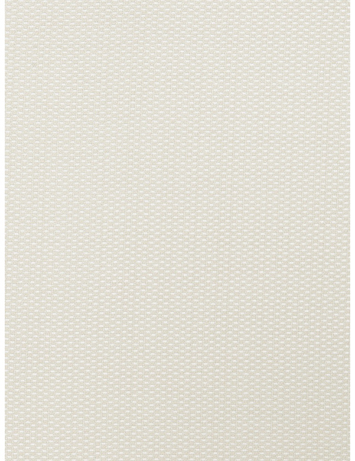 Ткань Fabricut Chromatics Vol.XXIII Marble Roti/Pearl