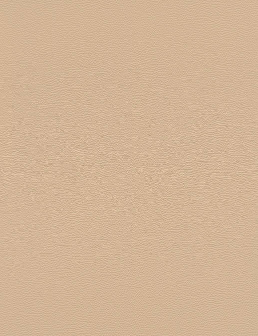 Обои Rasch African Queen III 752694