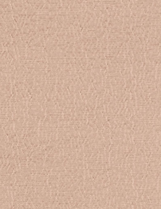 Ткань Designers Guild Anshu FDG2896/32