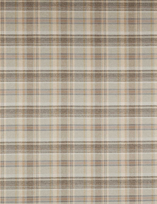 Ткань Colefax and Fowler Magnus Checks F4721/02