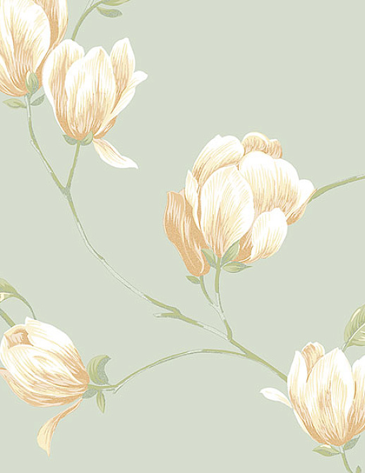 Обои Aura English Florals G34330
