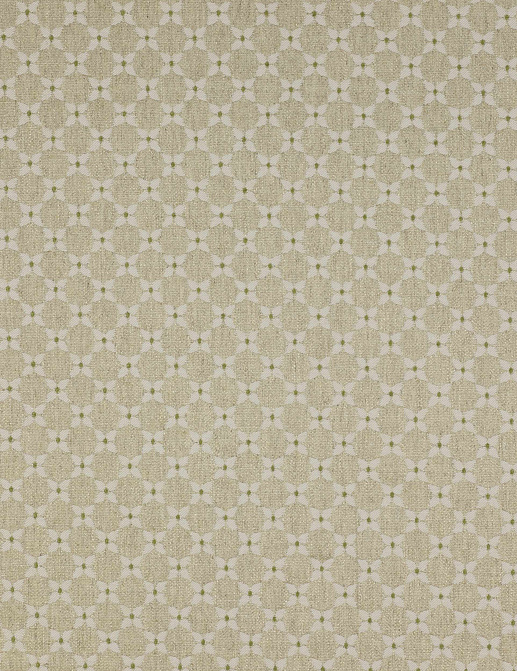 Ткань Colefax and Fowler Amersham F3626/01