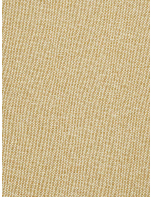 Ткань Trend Lemon Zest Cashew Prints & Wovens Vol.III 02628/Cashew