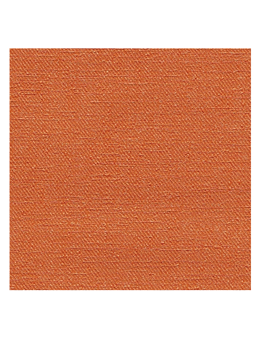 Обои Elitis Toile Peinte C&P VP402-13