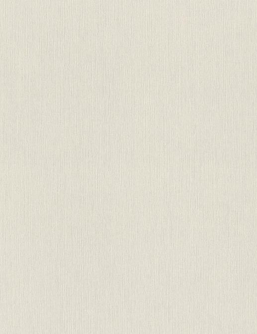 Обои Rasch Настенные структуры. Том 4 / Wall Textures XL Vol. 4 968521